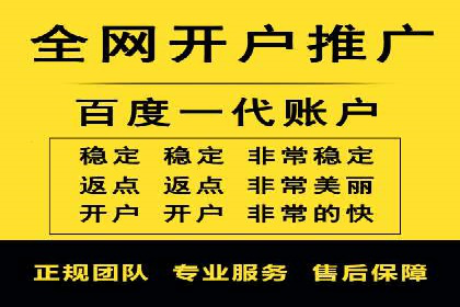 百度竞价广告案例分析：成功之道揭秘